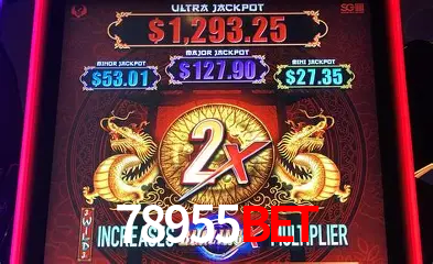 VIP Casino 78955bet